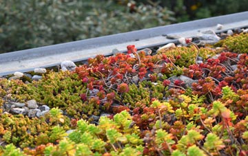 the cost of London green roof installation